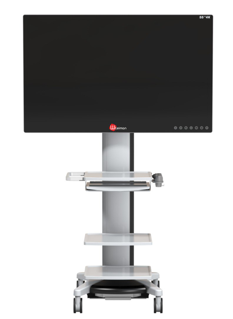 Монитор UHD с разрешением 4К STEINMANN 8155 c диагональю 55